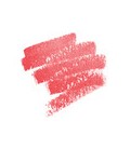 ARTIST LIP BLUSH