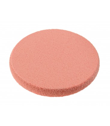 SPONGE REFILL
